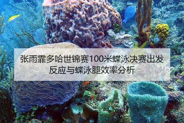 张雨霏多哈世锦赛100米蝶泳决赛出发反应与蝶泳腿效率分析